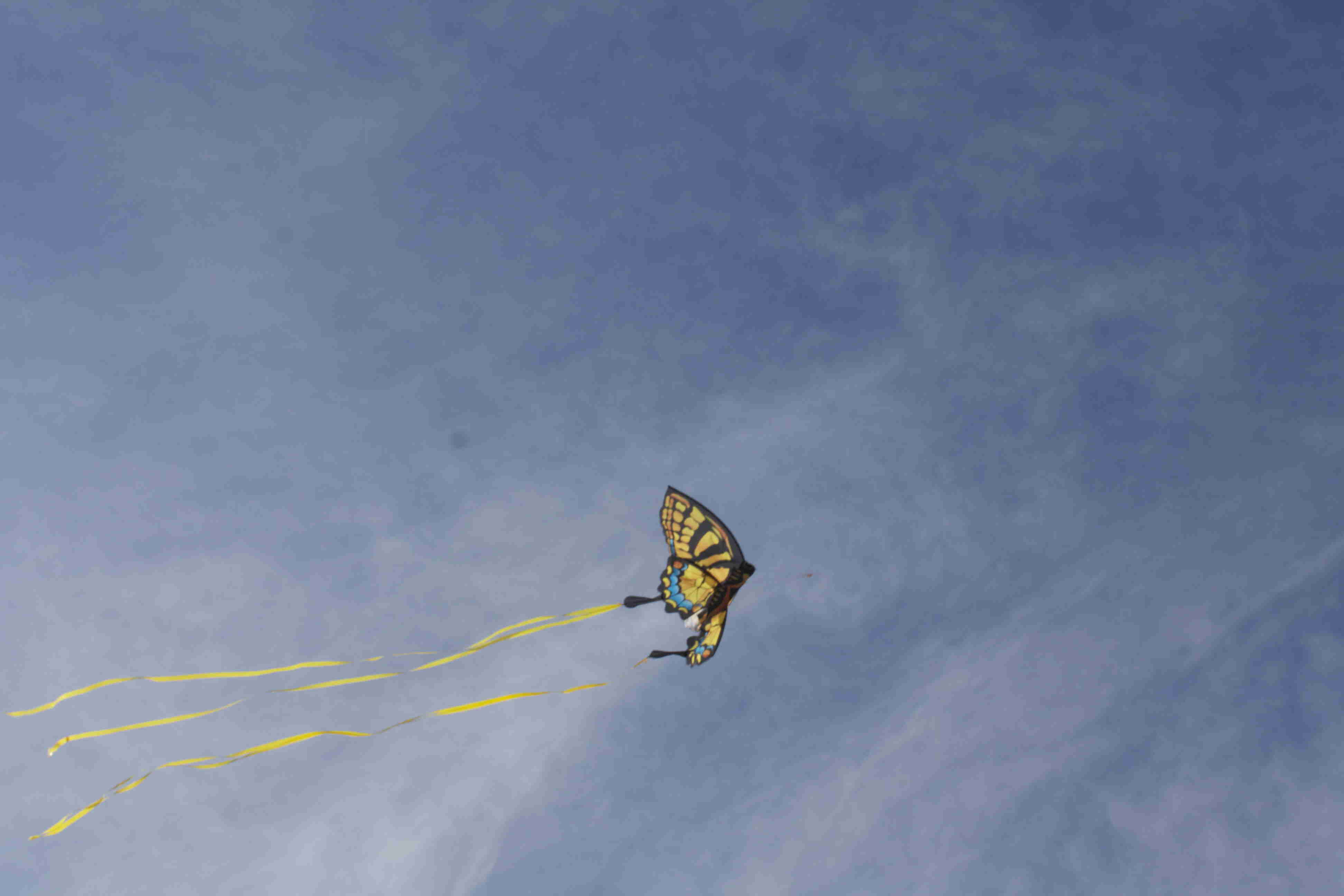Butterfly Kite
